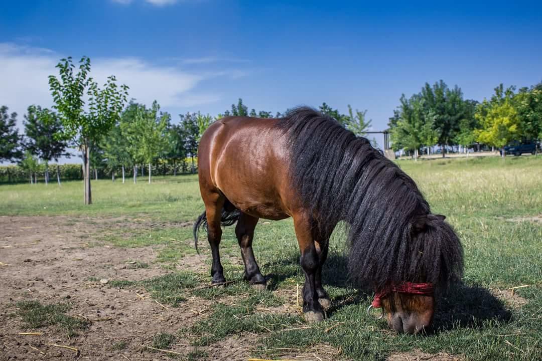 Salas Tatic Ξενοδοχείο Turija Εξωτερικό φωτογραφία